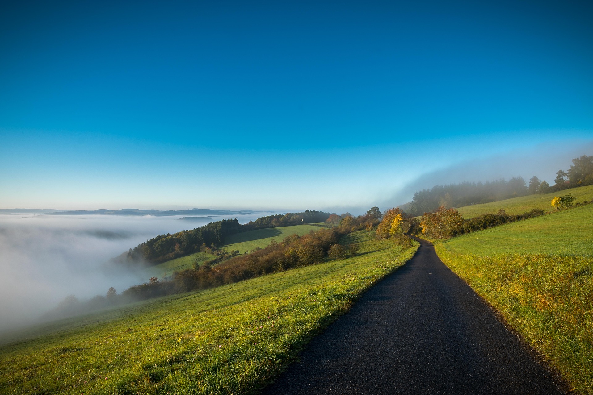 Eifel Nebel